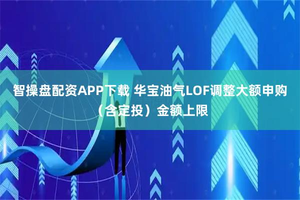 智操盘配资APP下载 华宝油气LOF调整大额申购（含定投）金额上限