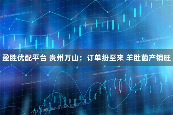 盈胜优配平台 贵州万山：订单纷至来 羊肚菌产销旺