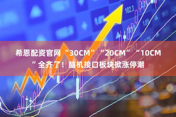 希恩配资官网 “30CM” “20CM” “10CM”全齐了！脑机接口板块掀涨停潮