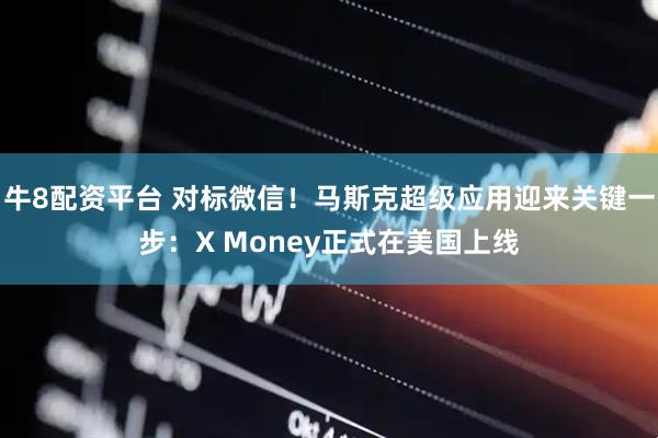 牛8配资平台 对标微信！马斯克超级应用迎来关键一步：X Money正式在美国上线